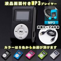 新発売【ゴールドカラー】新品 液晶画面付き MP3 音楽 プレイヤー SDカード式_画像5