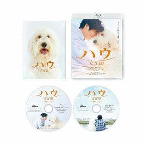 ハウ Blu-Ray