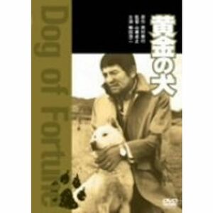 黄金の犬 DVD