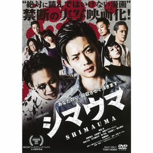 シマウマ DVD