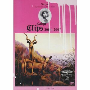 Salyu Clips 2004-2007 DVD