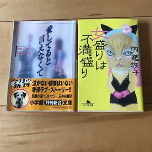 女盛りは不満盛り　愛してると言えなくて　エッセイ　小説　2点セット　