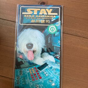 STAY/林田健司