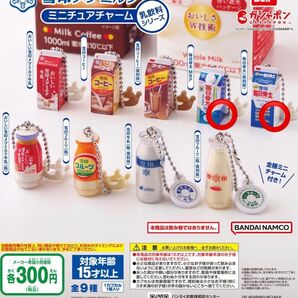 雪印メグミルク ミニチュアチャーム 乳飲料シリーズ　毎日骨太MBP・毎日骨太(復刻版)