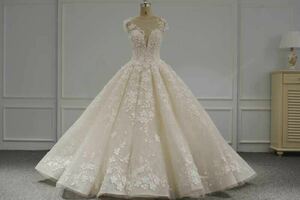 プリンセスライン本命花嫁ウエディングドレス セット ショートトレーン 清楚で美しい