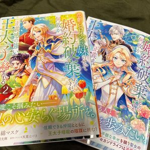 悲劇のヒロインぶる妹のせいで婚約破棄したのですが、何故か正義感の強い王太子に絡まれるようになりました 既刊 2巻セット 初版