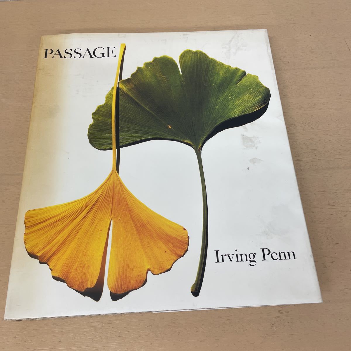 ヤフオク! -「irving penn」(写真集) (アート、エンターテインメント 