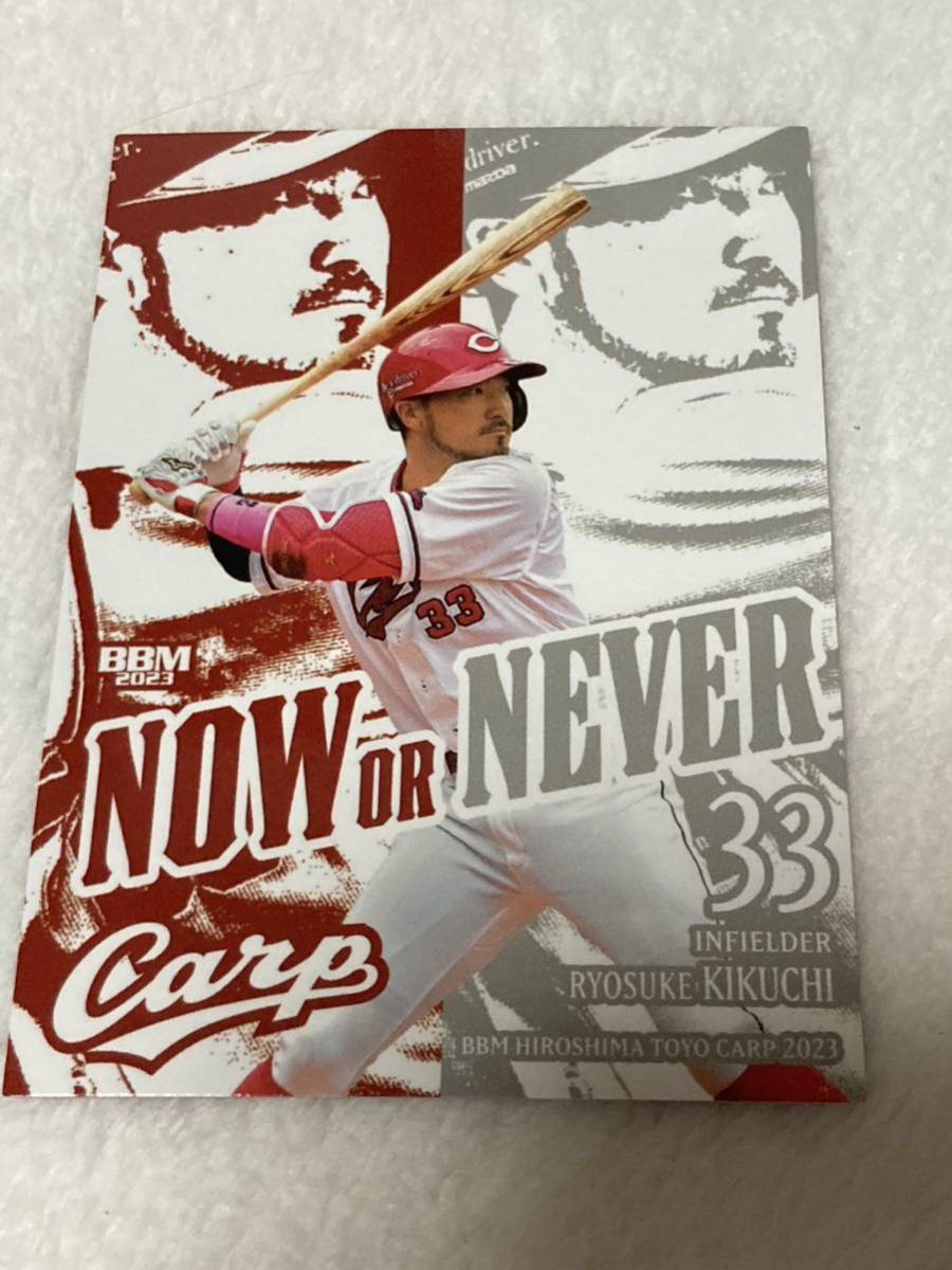 全てのアイテム BBM red カープ 菊池 野村 shining 2022 その他