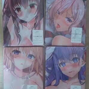 fate 抱き枕カバー 4点セット ①