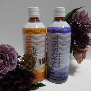 ドテラミネラル doTERRA　ハニージンジャー＆プルーン