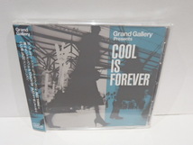 Grand Gallery　COOL IS FOREVER　Club Jazz HipHop コンピレーション　SOUND PROVIDERS_画像1