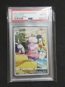 モココ　chr psa10 