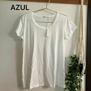 タグ付き　AZUL アズール クールネックTシャツ