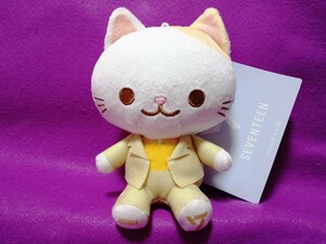 SEVENTEEN ANIMAL COORDY ミニぬいぐるみ SECTOR17 JOSHUA ジョシュア　★新品・タグ付き　