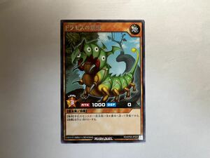 遊戯王ラッシュデュエル　ドラモスの幼虫　字レア