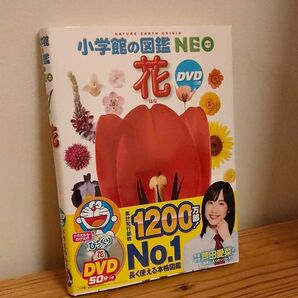 小学館の図鑑NEO 花 DVDなし