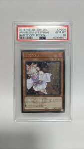 PSA10 灰流うらら 旧アルティメットレア 旧レリーフ ジェムミント GEM MT 極美品 遊戯王 yugioh 