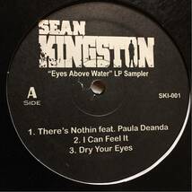 【最強アルバムサンプラー】Sean Kingston / There's Nothin ft. Paula Deanda, Dry Your Eyes, Change, Me Love, I Can Feel It_画像1