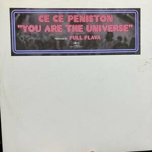 Full Flava ft. Ce Ce Peniston / You Are The Universe The Brand New Heavies カバー