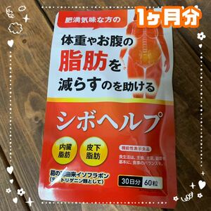 [ new goods ] wrinkle hell si60 bead 1 months minute supplement isoflabon health food 