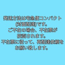 夜の梅　中形羊羹　とらや　虎屋　羊羹　ようかん　中型羊羹　　中形ようかん　中型ようかん_画像6