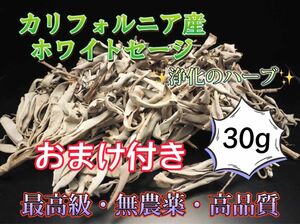 最安値 ホワイトセージ お香 枝付 リーフ浄化 カリフォルニア産 高品質 30g