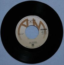Cat Stevens - Oh Very Young / キャット・スティーヴンス - オー・ベリー・ヤング AM-211 国内盤 シングル盤_画像5