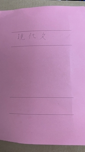 高校3年生用 現代文 授業プリント1年分 2007年度