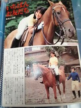 宮崎美子 週刊誌 切り抜き 当時物_画像3