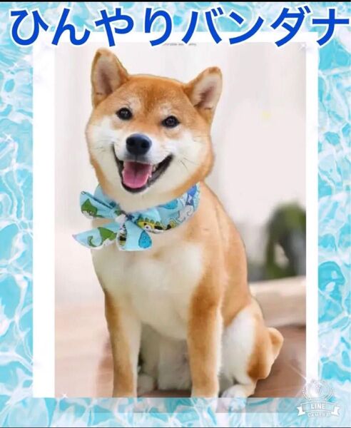 【ひんやりクールネック】いぬ用 バンダナ、首輪、熱中症対策 ペット用 犬猫用 冷却バンダナ
