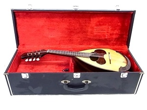 e10087 mandolin .. Tadao stringed instruments hard case 