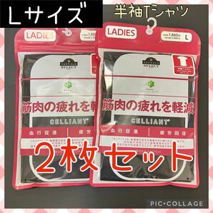 【新品未使用】2枚セット L セリアント レディース 半袖Tシャツ ブラック 筋肉の疲れを軽減 CELLIANT