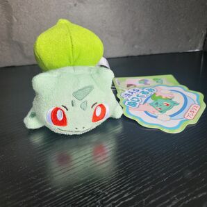 【新品未使用】洗えるぬいぐるみ フシギダネ ポケモン