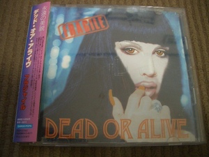 ★☆帯付即決有CD Dead Or Alive 「Fragile」 国内版 デッド・オア・アライヴ ☆★