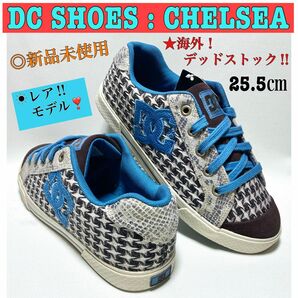 【海外レア!!】DC SHOES CHELSEA (25.5㎝相当) 黒/青/銀★スター&スネーク柄＊未使用=デッドストック！