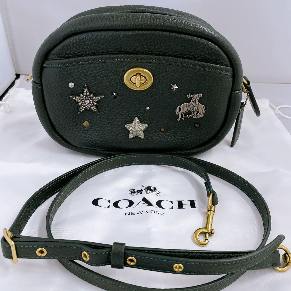 入手困難！ COACH コーチ ショルダーバッグ メタリック ダーク