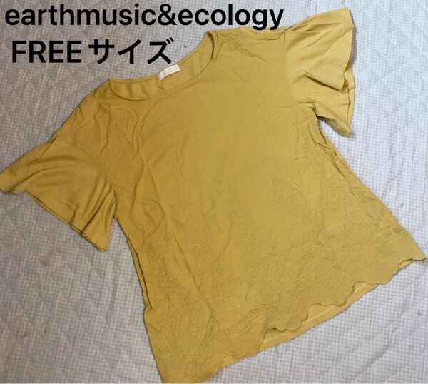 earthmusic&ecology アースミュージックアンドエコロジー　袖フリル　刺繍　イエロー　黄色　シャツ　Tシャツ 半袖