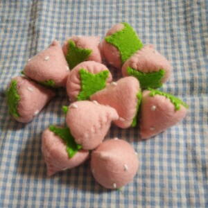  handmade hand made felt strawberry 10 piece pink (2) playing house . shop shop san felt playing house 