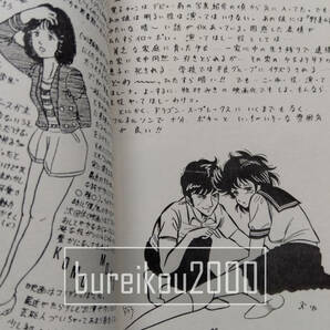 ◎80年代の同人誌 『アイCatch -ブラウン管の遥か彼方へ愛をこめて-』 小泉今日子 松本伊代 中森明菜 堀ちえみ 原田知世 昭和アイドルの画像9