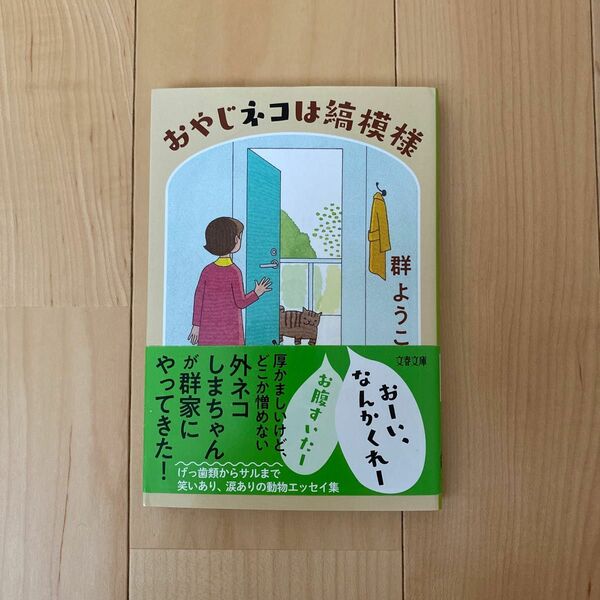 おやじネコは縞模様