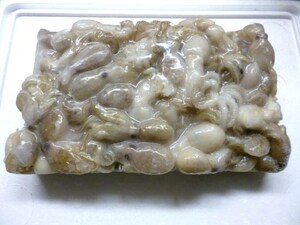 ## freezing # super Special feed / freshness eminent!! octopus ocellatus economical octopus ocellatus 2kgonikasago* is ta*ala