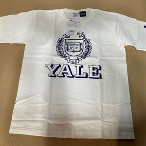 champion チャンピオン Tシャツ T1011 MADE IN USA アメリカ製 YALE白  UNIVERSITY Ｍの画像1