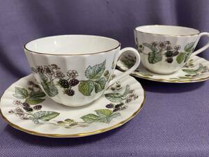 ★ ロイヤルウースター★ラビニア カップ ソーサー ２客　Royal Worcester Lavinia ボタニカル柄 ヴィンテージ