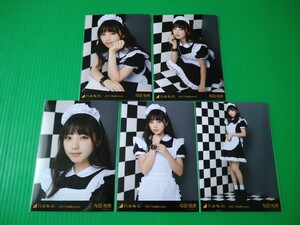 乃木坂46 【与田祐希】 2017 Halloween 個別 生写真 ５種コンプ webshop限定 ハロウィン