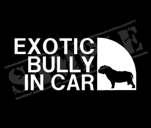 EXOTIC BULLY IN CAR （エキゾチック・ブリー）パロディステッカー 7.5cm×17cm　愛犬　ペット