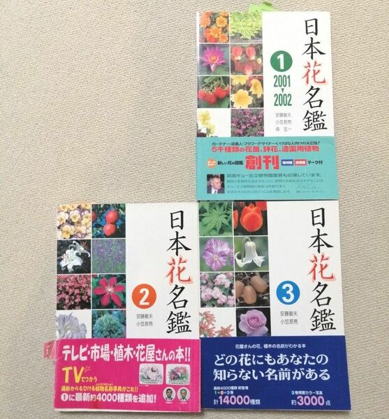 日本花名鑑 1(2001 2002)　初版　まとめ売り