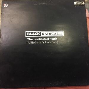 Black Radical MKII / The Undiluted Truth UKオリジナル中古レコード