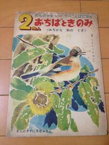 ... .. отдельный выпуск наука ......2..... время только Showa 29 год 11 месяц небо дерево .. Matsue . самец .... осенний ..