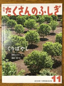 たくさんのふしぎ★404号　くりばやし★姉崎エミリー　文 / 姉崎一馬　写真