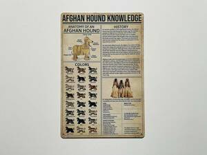 ブリキ看板 20×30㎝ いぬ イヌ 犬 猛犬 アフガン・ハウンド Anatomy of a Afghan hound knowledge 図鑑 説明 インテリア 新品 PRO-489